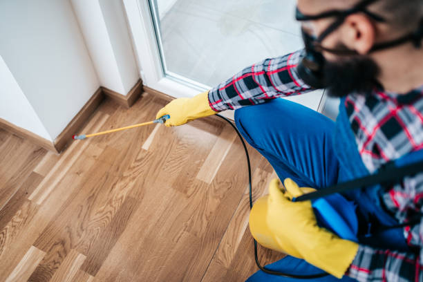 Real Estate Pest Inspections in Jonesboro, IL